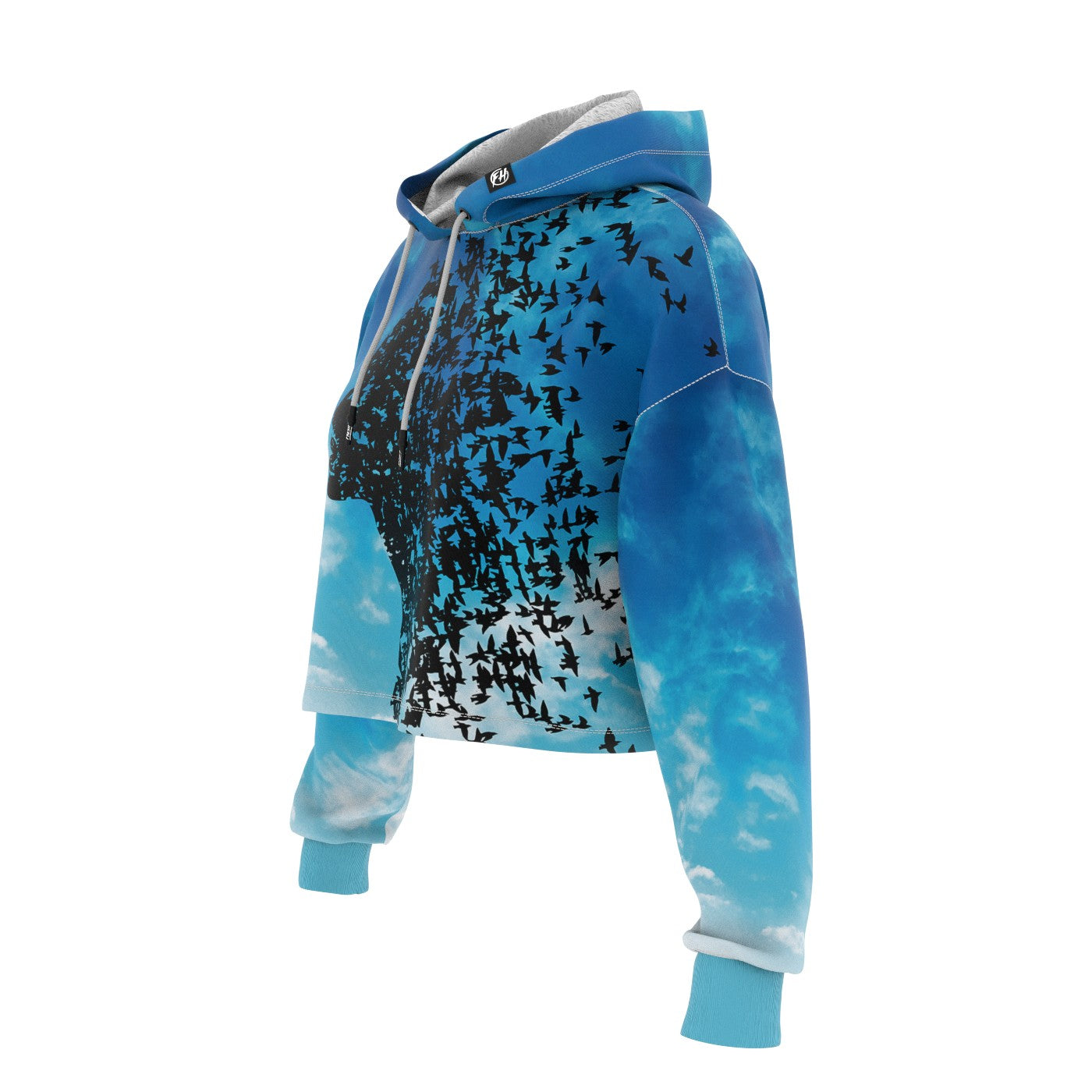 Artistic Soaring Cropped Hoodie