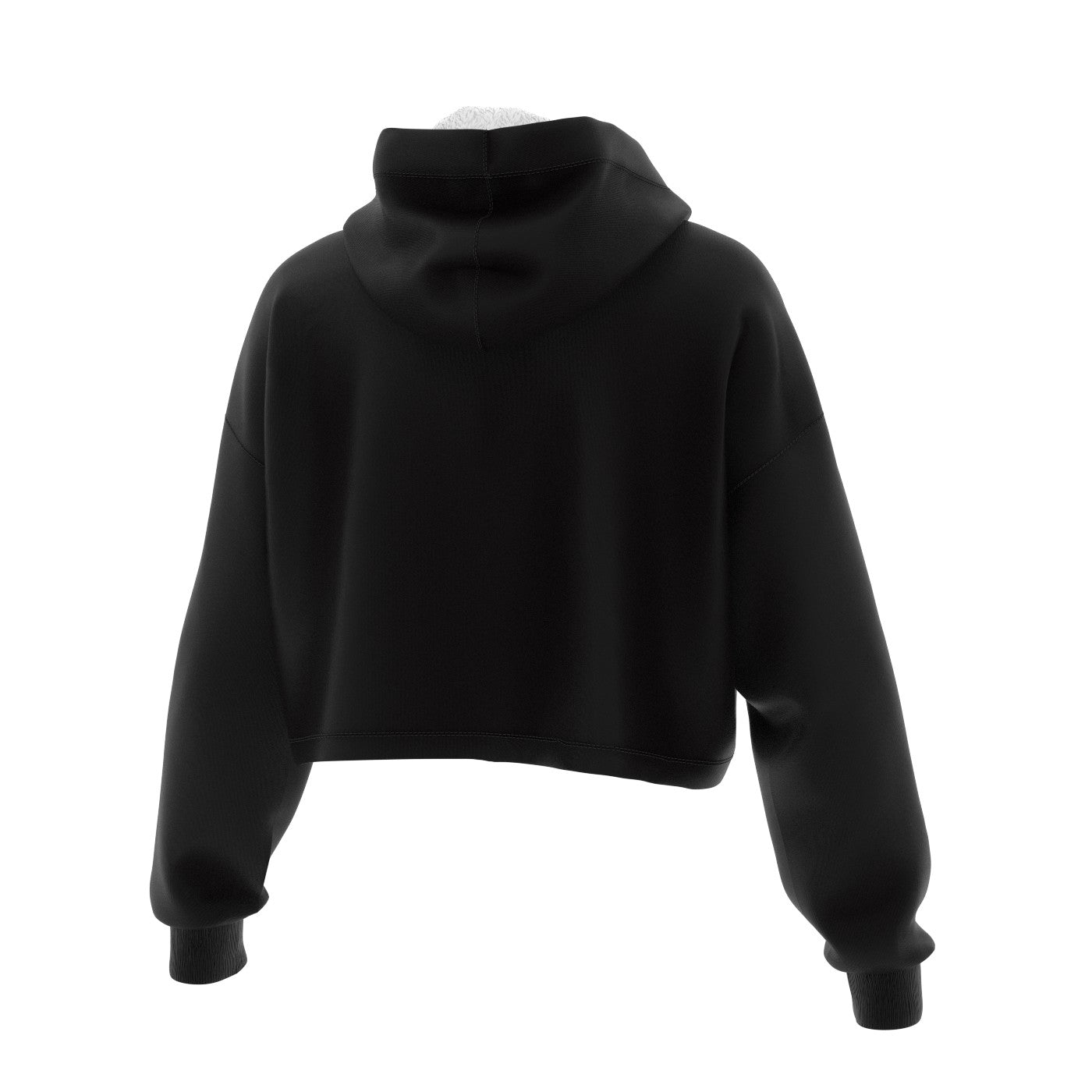 Astrolizer Cropped Hoodie