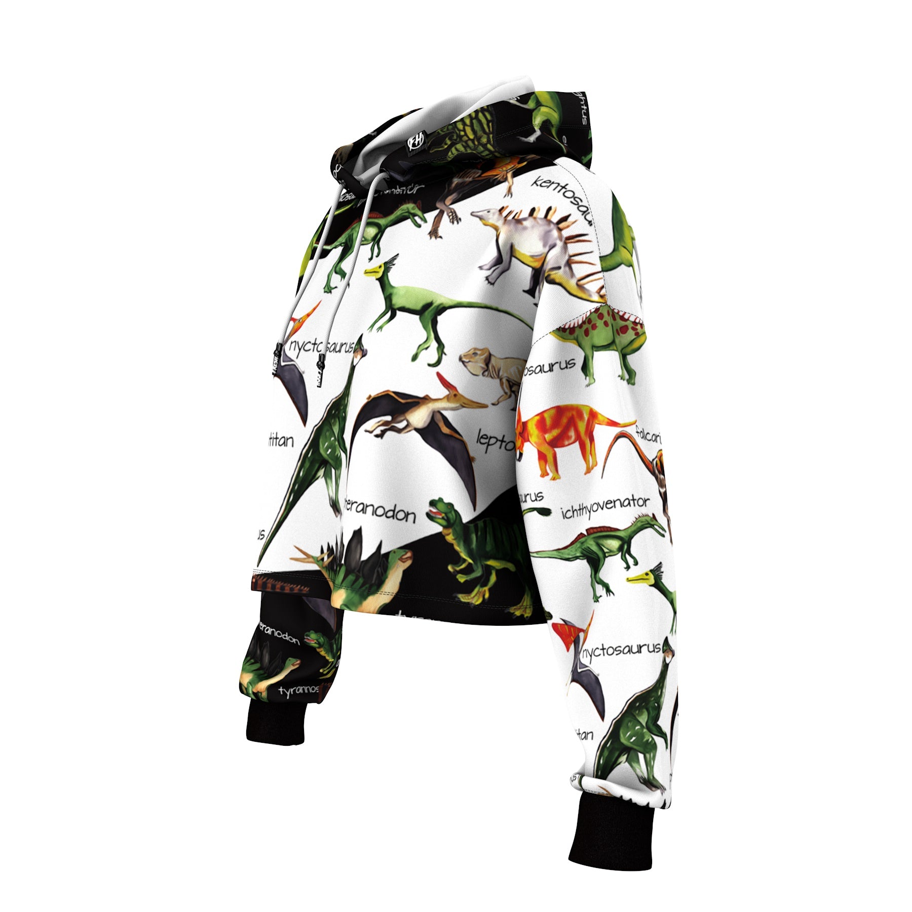 Dino Map Cropped Hoodie